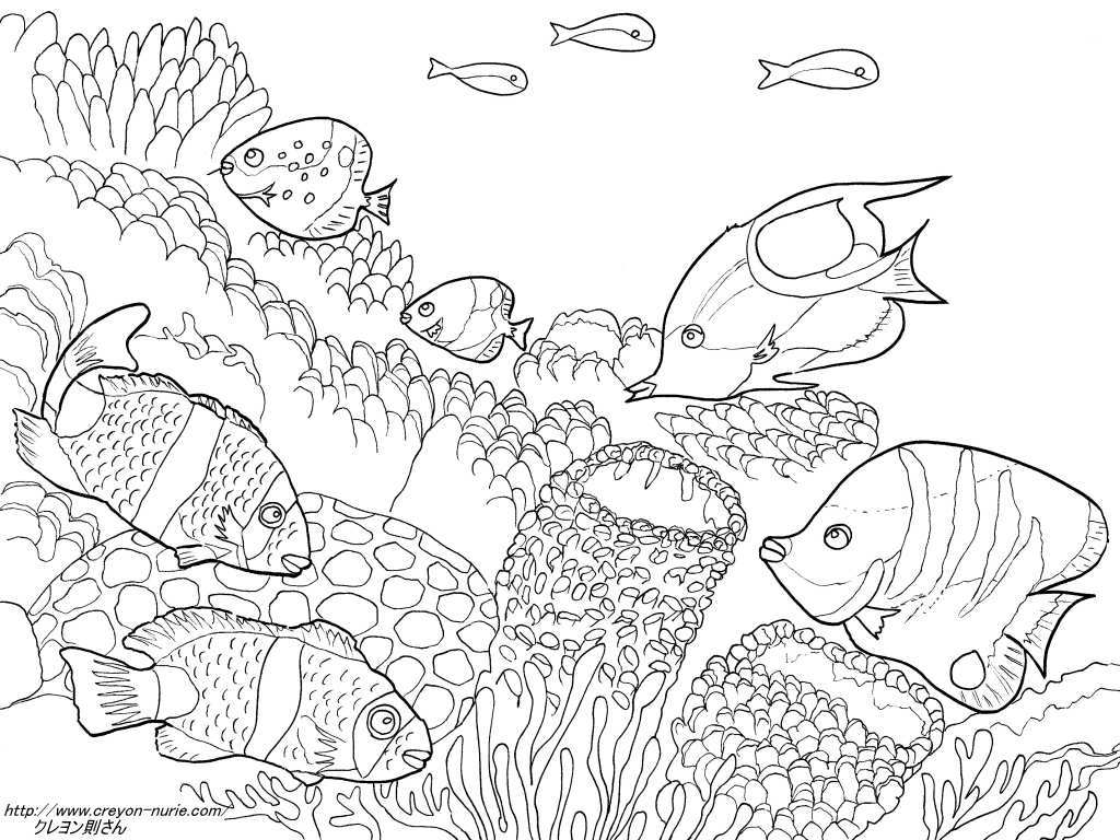 海の熱帯魚の塗り絵の下絵 画像