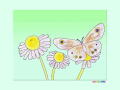 ヒメウラナミジャノメ蝶と花のぬりえ