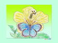 }gVW~ƃnCrXJX̕ǎ