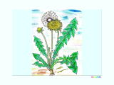 ۂ