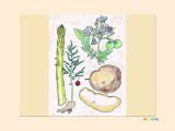 アスパラ、ジャガイモの塗り絵