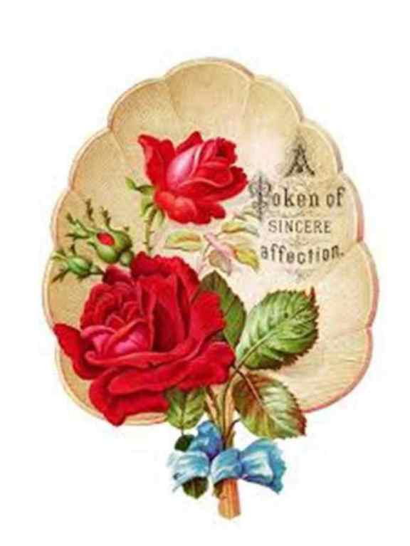 7月 バラの花束の塗り絵の下絵 画像