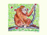 O,Orangutan オラウ—タンの塗り絵