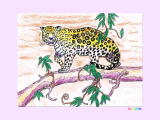 J,jaguarジャガーの塗り絵