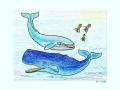 イワシクジラとマッコウクジラとイカのイラスト