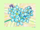 ワスレナグサの花の塗り絵　ー　私を忘れないで、真実の愛