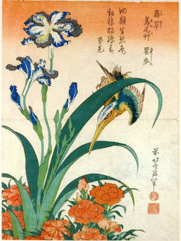 17年5月のカワセミ ナデシコ アヤメのカレンダー塗り絵の下絵 画像