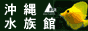 ꐅفFC@TS@CubN̔