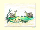 蝸牛の動物画の塗り絵
