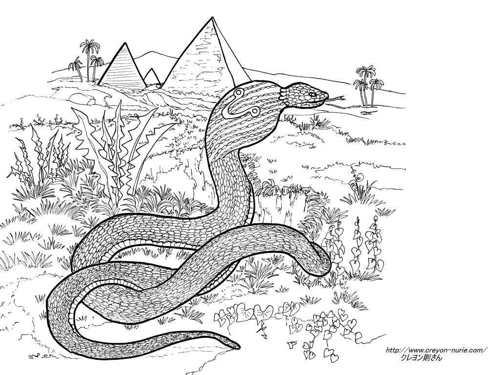 エジプトのコブラの年賀状の塗り絵 下絵 イラスト